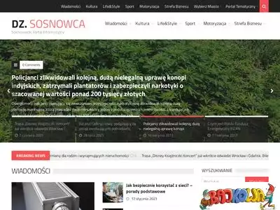 dzienniksosnowca.pl