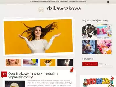 dzikawozkowa.pl