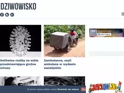 dziwowisko.pl