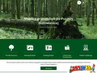 e-puszcza.pl