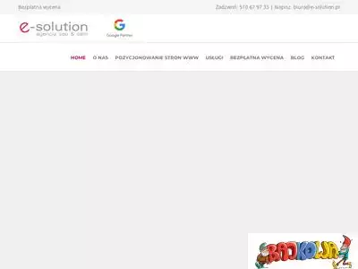 e-solution.pl