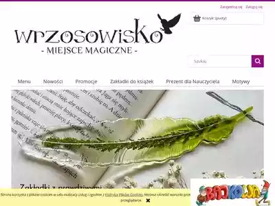 e-wrzosowisko.pl