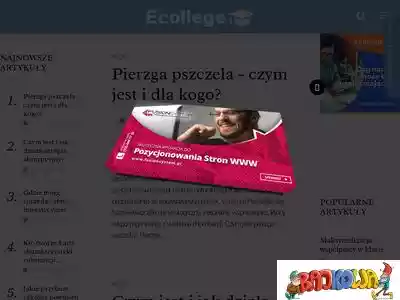 ecollege.pl