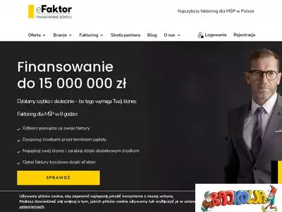 efaktor.com.pl