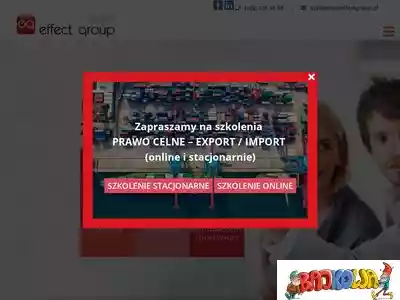 effectgroup.pl