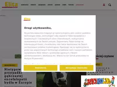 elita-magazyn.pl