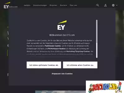 ey.com