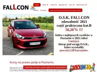 fallcon.pl