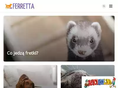 ferretta.pl