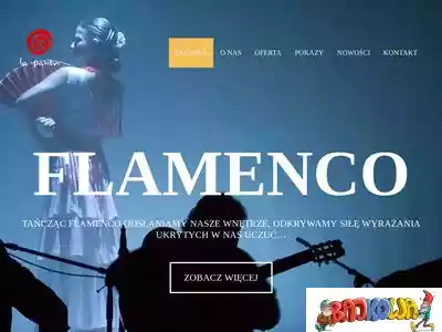 flamenco-krakow.pl