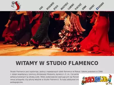 flamenco.org.pl