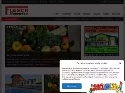 fleschmazowsza.com.pl