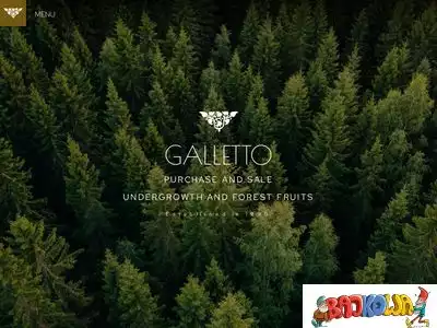 galletto.pl