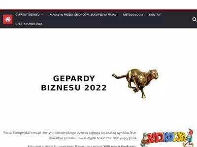 gepardybiznesu.pl