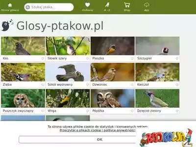 glosy-ptakow.pl