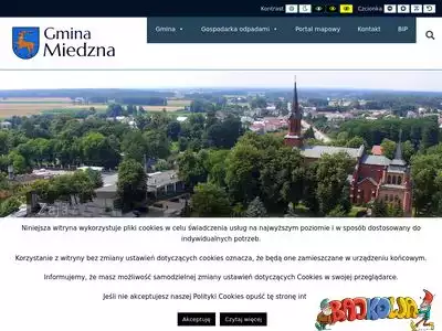 gmina-miedzna.pl