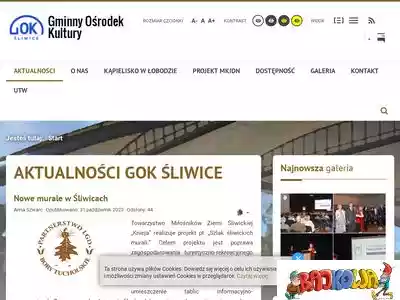 goksliwice.pl