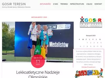 gosirteresin.pl