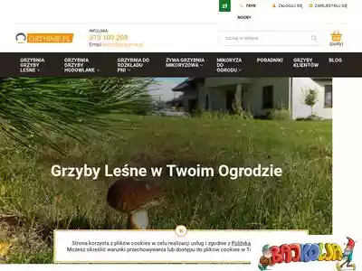 grzybnie.pl