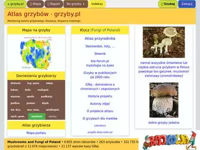 grzyby.pl