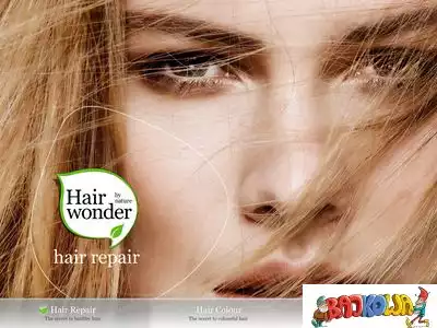 hairwonder.com