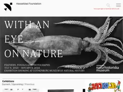 hasselbladfoundation.org