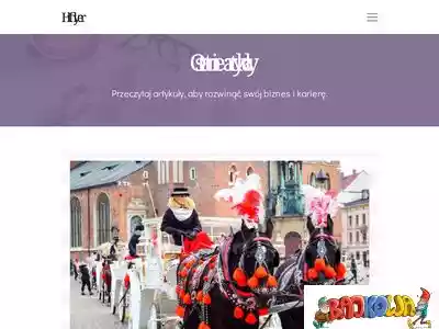 hiflyer.pl