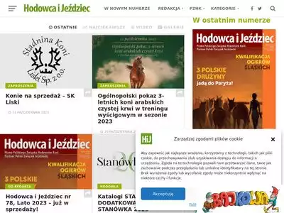 hij.com.pl