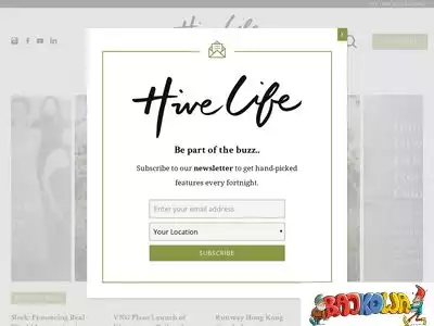 hivelife.com