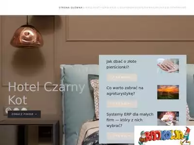 hotelczarnykot.com.pl