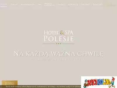 hotelpolesie.pl