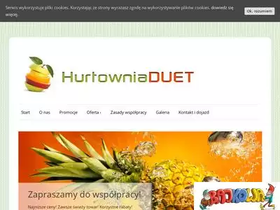 hurtownia-duet.pl