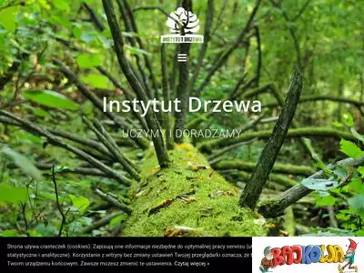 instytut-drzewa.pl