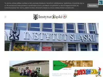 instytutslaski.pl