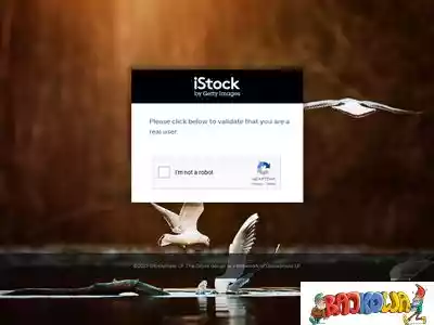 istockphoto.com