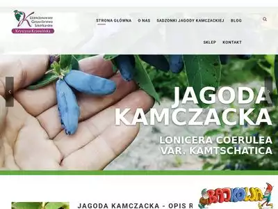 jagodakamczackakrzewinski.pl