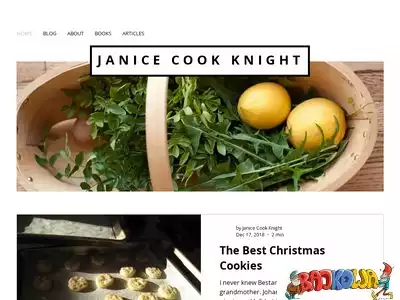 janicecookknight.com