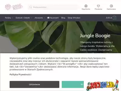 jungleboogie.pl