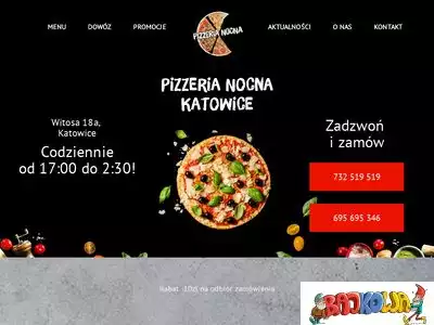 katowice.pizzerianocna.pl