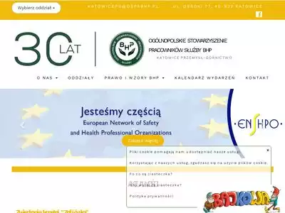 katowicepg.ospsbhp.pl