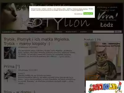 kotylion.pl