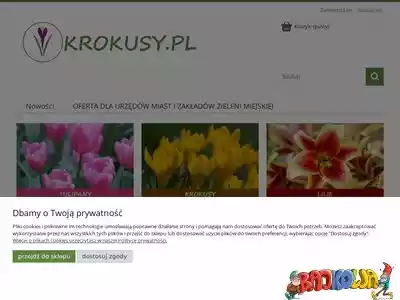 krokusy.pl