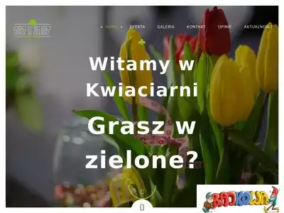 kwiaciarnia-graszwzielone.pl