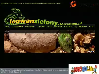 legwanzielony.terrarium.pl