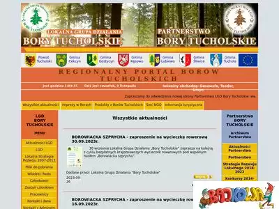 lgd.borytucholskie.pl