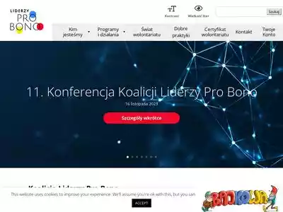 liderzyprobono.pl