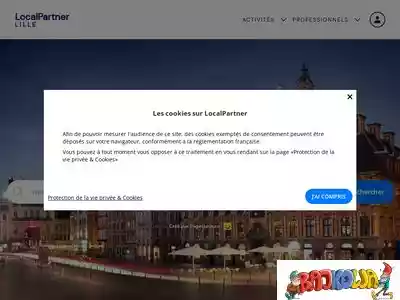 lille.localpartner.fr