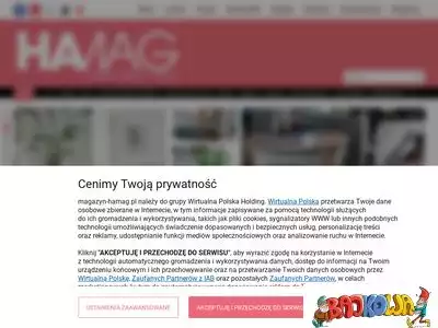 magazyn-hamag.pl