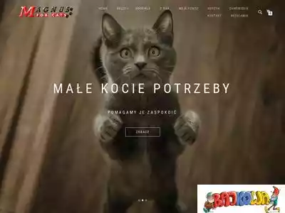 magnusforcats.pl