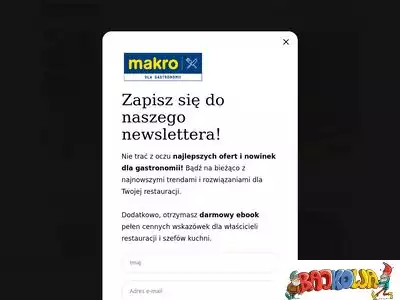 makro-dla-gastronomii.pl